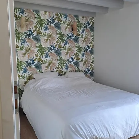 Maison Oceane Hébergement de vacances Biscarrosse